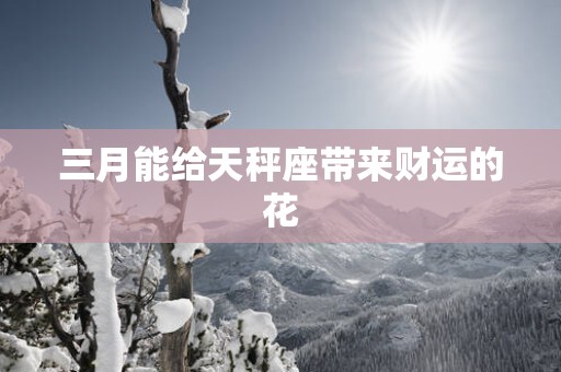 三月能给天秤座带来财运的花