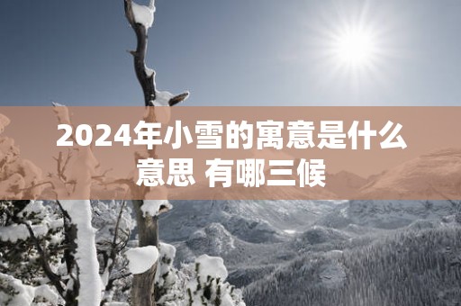 2025年小雪的寓意是什么意思 有哪三候