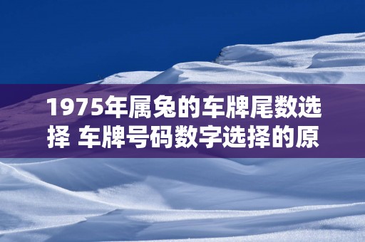 1975年属兔的车牌尾数选择 车牌号码数字选择的原则