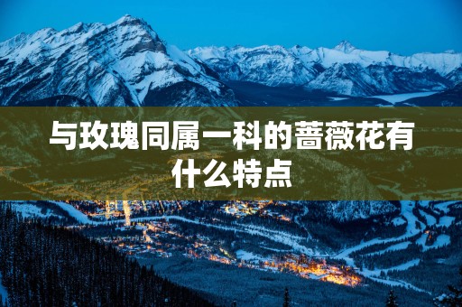 与玫瑰同属一科的蔷薇花有什么特点