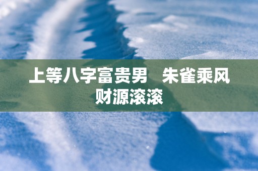 上等八字富贵男   朱雀乘风财源滚滚