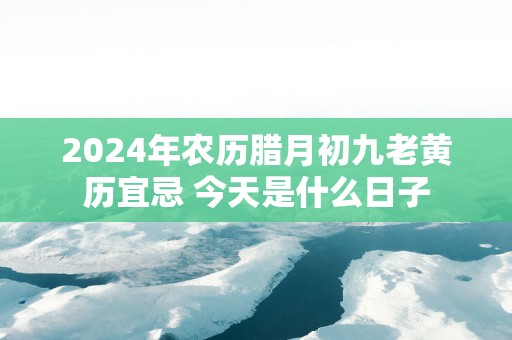 2025年农历腊月初九老黄历宜忌 今天是什么日子