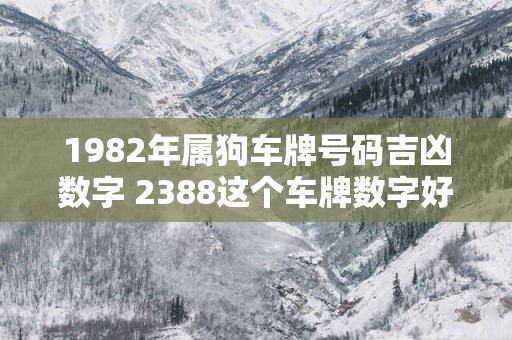 1982年属狗车牌号码吉凶数字 2388这个车牌数字好不好