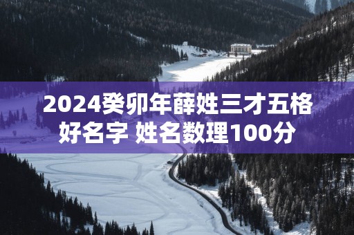 2025癸卯年薛姓三才五格好名字 姓名数理100分