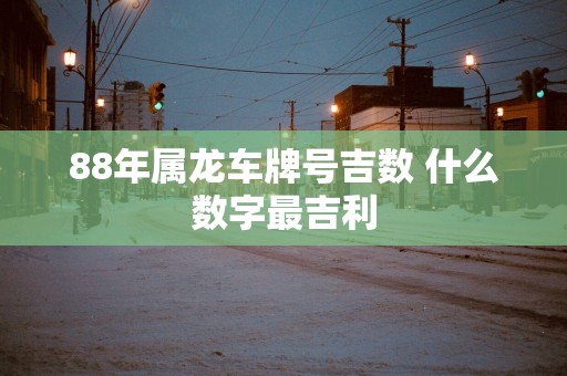 88年属龙车牌号吉数 什么数字最吉利