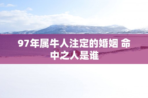 97年属牛人注定的婚姻 命中之人是谁