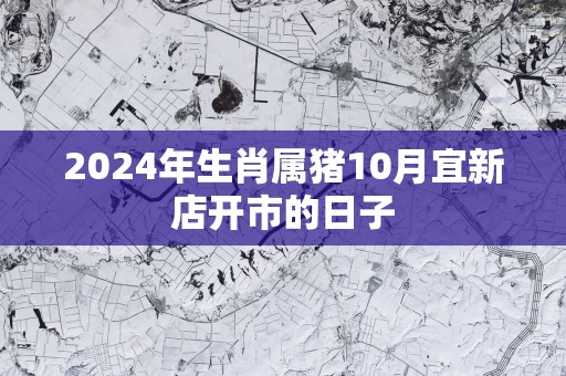 2025年生肖属猪10月宜新店开市的日子