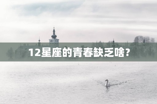 12星座的青春缺乏啥？