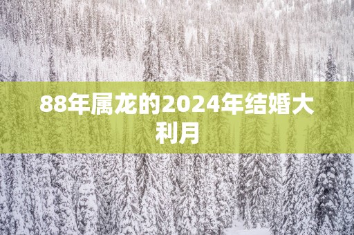 88年属龙的2025年结婚大利月