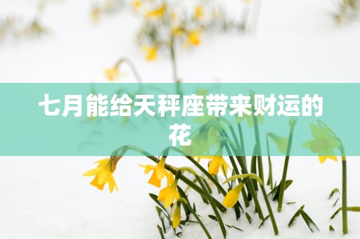 七月能给天秤座带来财运的花