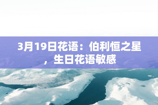 3月19日花语：伯利恒之星，生日花语敏感