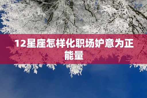12星座怎样化职场妒意为正能量