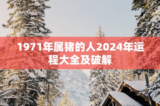 1971年属猪的人2025年运程大全及破解