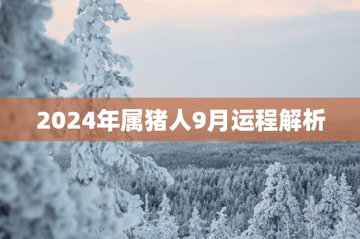 2025年属猪人9月运程解析