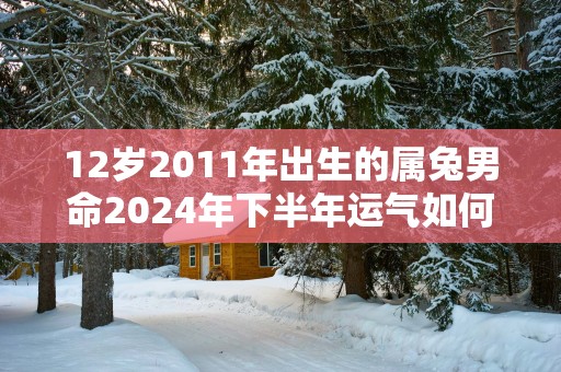 12岁2011年出生的属兔男命2025年下半年运气如何 运势详解