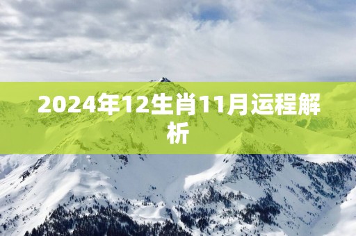 2025年12生肖11月运程解析