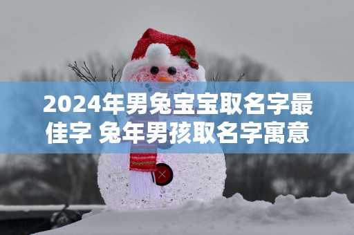 2025年男兔宝宝取名字最佳字 蛇年男孩取名字寓意好的字