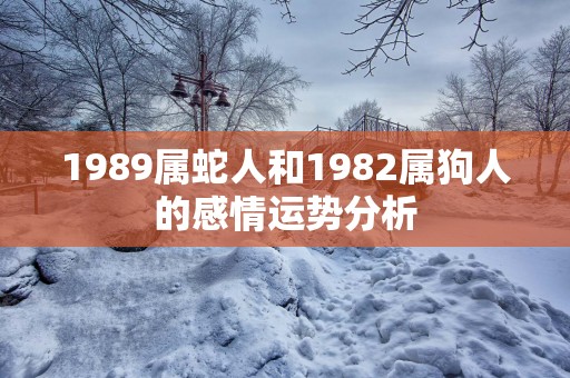 1989属蛇人和1982属狗人的感情运势分析