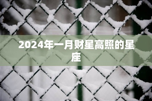 2025年一月财星高照的星座