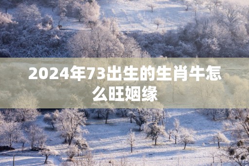 2025年73出生的生肖牛怎么旺姻缘