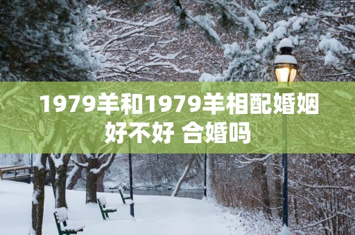 1979羊和1979羊相配婚姻好不好 合婚吗
