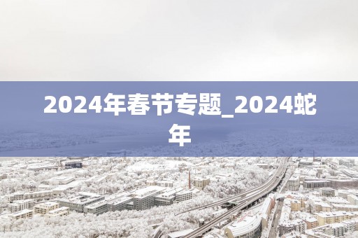 2025年春节专题_2025蛇年