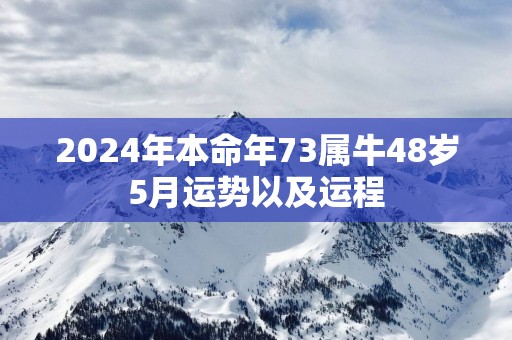 2025年本命年73属牛48岁5月运势以及运程