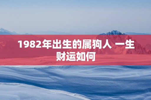 1982年出生的属狗人 一生财运如何