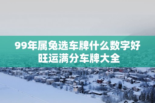 99年属兔选车牌什么数字好 旺运满分车牌大全