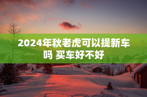 2025年秋老虎可以提新车吗 买车好不好