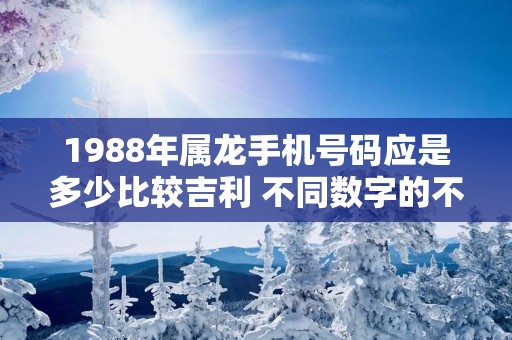 1988年属龙手机号码应是多少比较吉利 不同数字的不同寓意