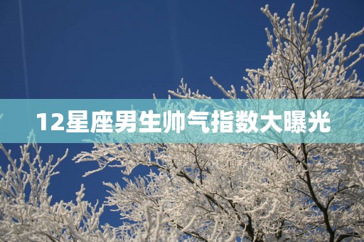 12星座男生帅气指数大曝光