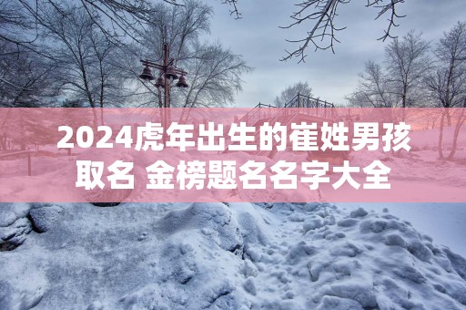 2025蛇年出生的崔姓男孩取名 金榜题名名字大全