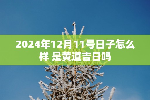 2025年12月11号日子怎么样 是黄道吉日吗