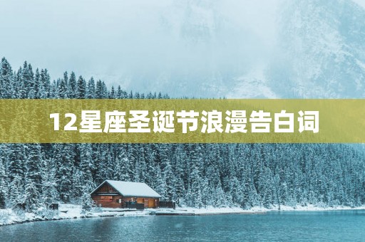 12星座圣诞节浪漫告白词