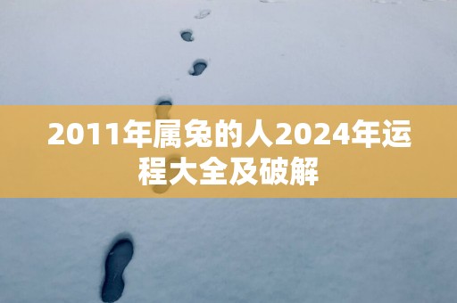 2011年属兔的人2025年运程大全及破解