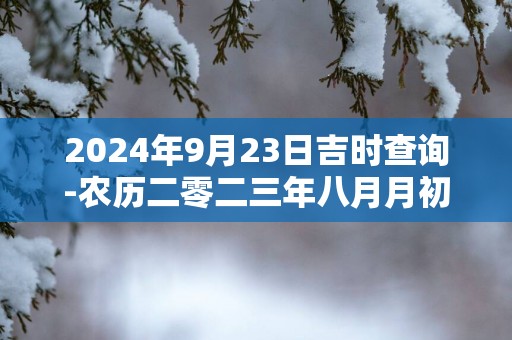 2025年9月23日吉时查询-农历二零二三年八月月初九日时辰吉凶