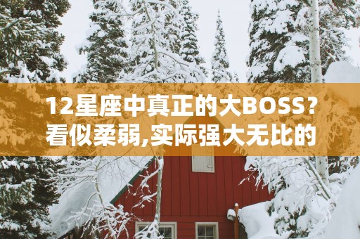 12星座中真正的大BOSS？看似柔弱,实际强大无比的星座!