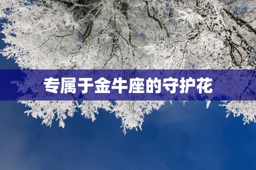 专属于金牛座的守护花
