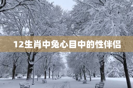 12生肖中兔心目中的性伴侣