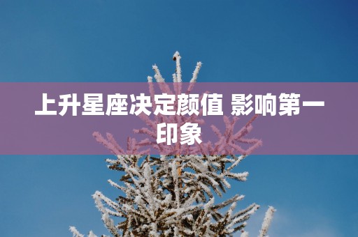 上升星座决定颜值 影响第一印象