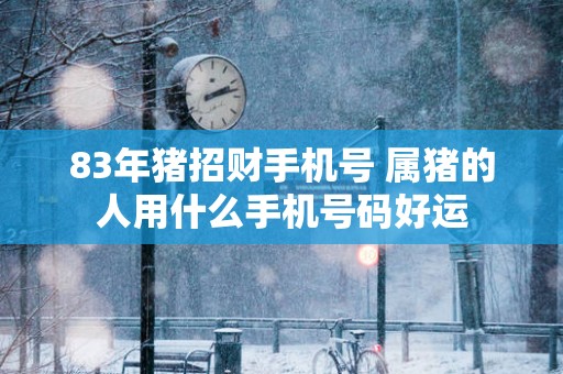 83年猪招财手机号 属猪的人用什么手机号码好运