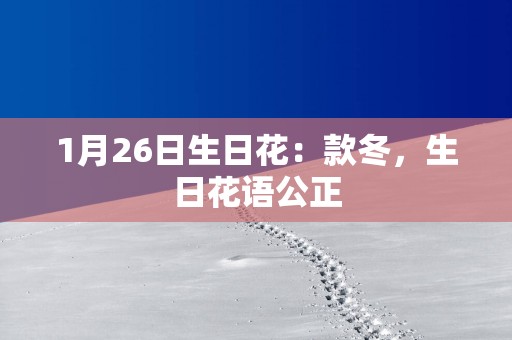 1月26日生日花：款冬，生日花语公正