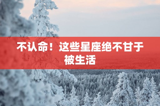 不认命！这些星座绝不甘于被生活