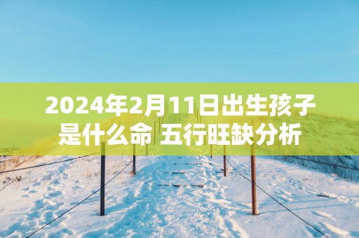 2025年2月11日出生孩子是什么命 五行旺缺分析