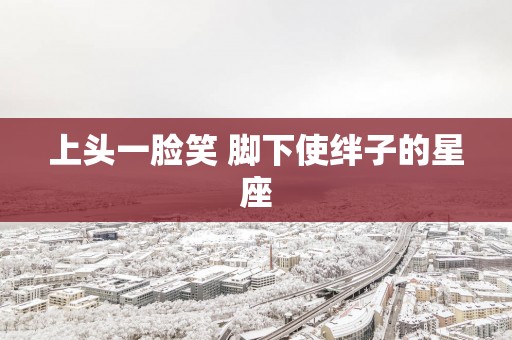 上头一脸笑 脚下使绊子的星座