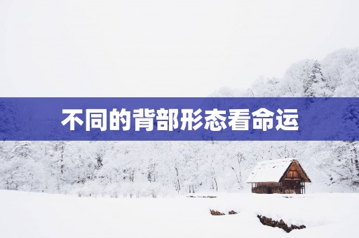 不同的背部形态看命运
