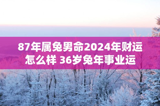 87年属兔男命2025年财运怎么样 36岁蛇年事业运