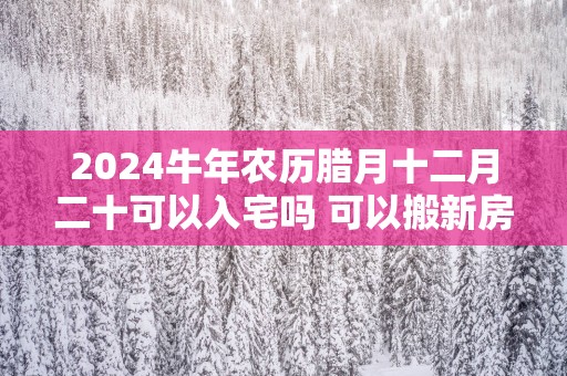 2025蛇年农历腊月十二月二十可以入宅吗 可以搬新房吗