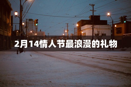 2月14情人节最浪漫的礼物